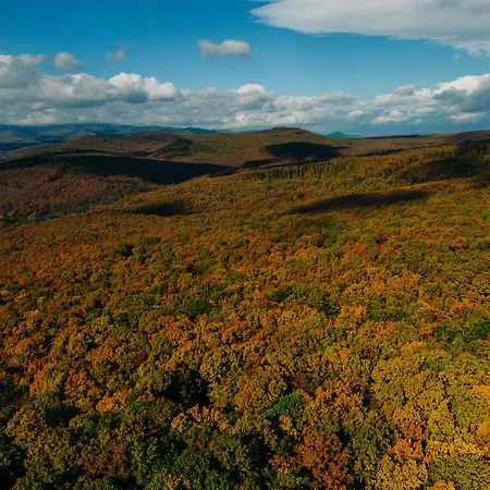 Zama Forest