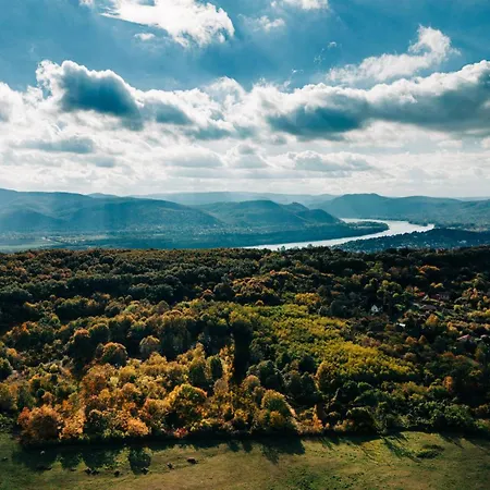 Zama Forest * Kismaros