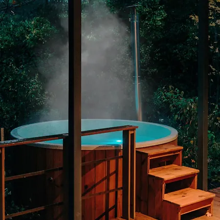 Zama Forest Kismaros