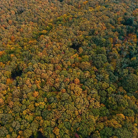וילה Zama Forest Kismaros