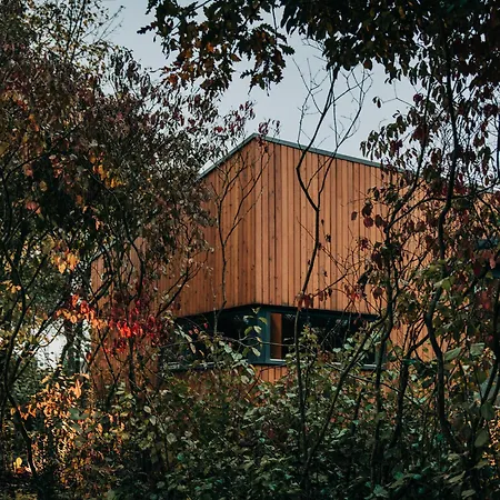 Villa Zama Forest