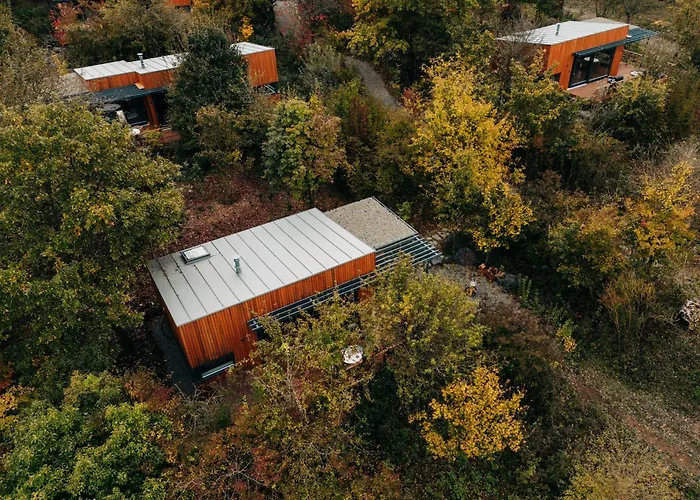 Zama Forest
