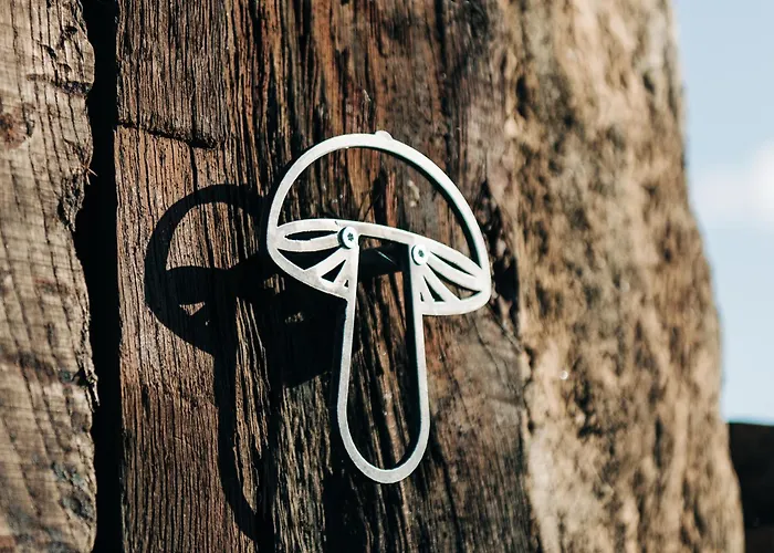 Zama Forest Kismaros