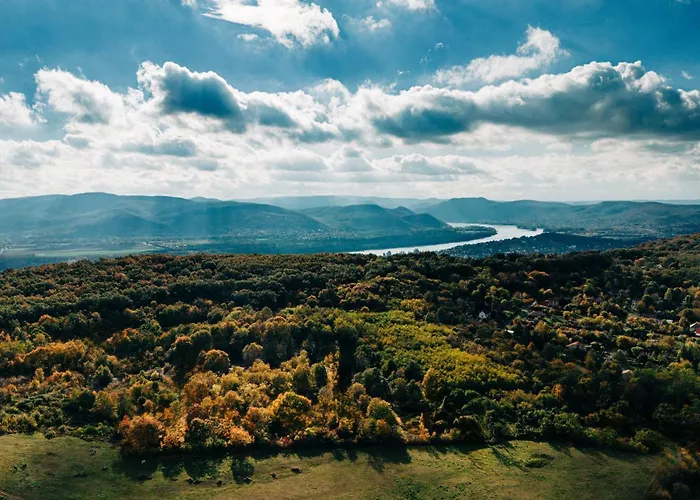 Zama Forest * Kismaros