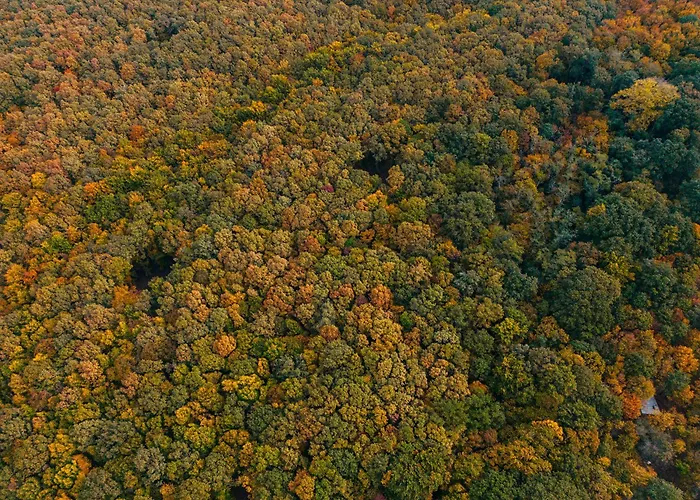 וילה Zama Forest Kismaros