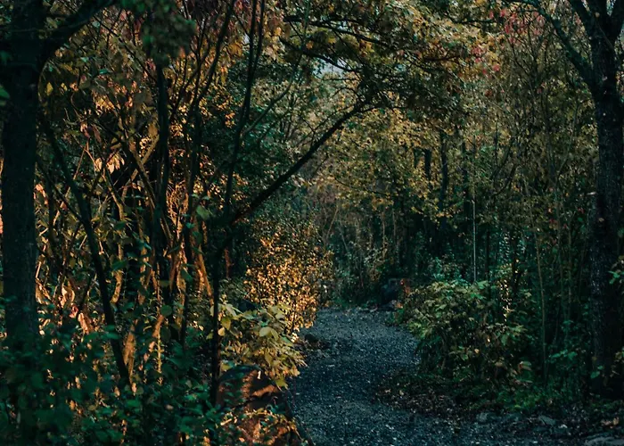 Zama Forest *