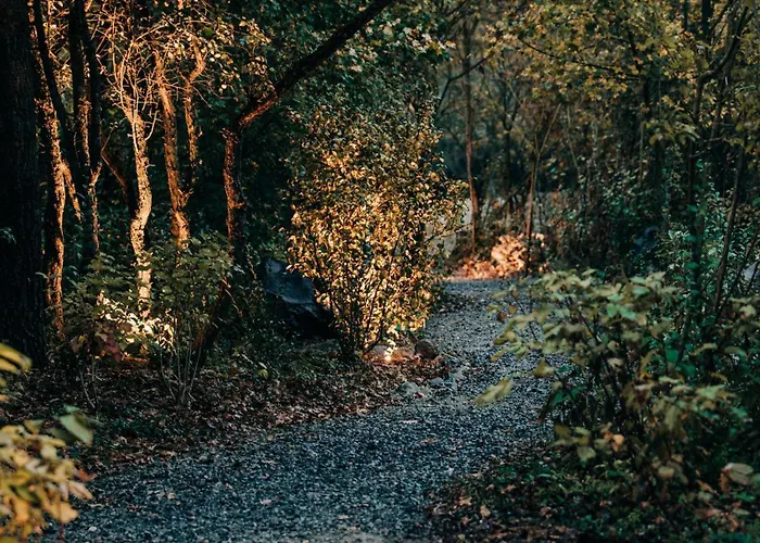 Zama Forest וילה Kismaros